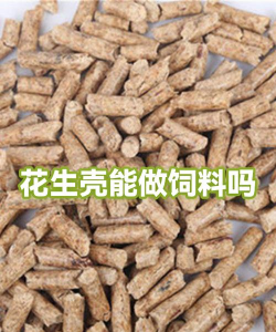 花生壳可以做饲料吗