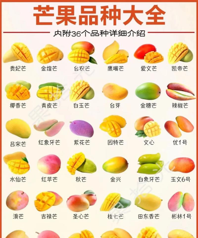 芒果的品种有哪些