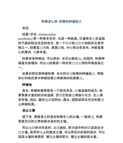 小众送妈妈的花有哪些花