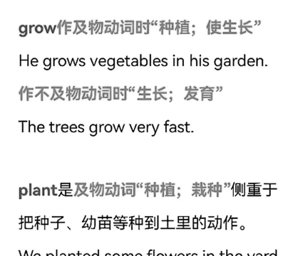 小众送妈妈的花有哪些花