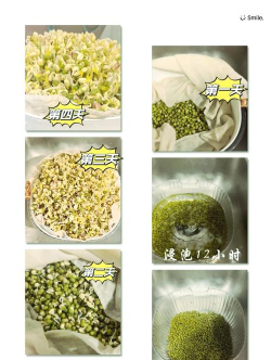 如何挑选绿豆芽，绿豆芽发苦发红有毒吗