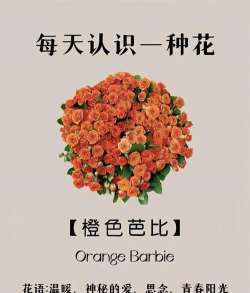 小众送妈妈的花有哪些花