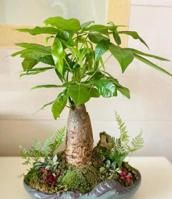 小众送妈妈的花有哪些花