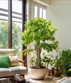 小众送妈妈的花有哪些花