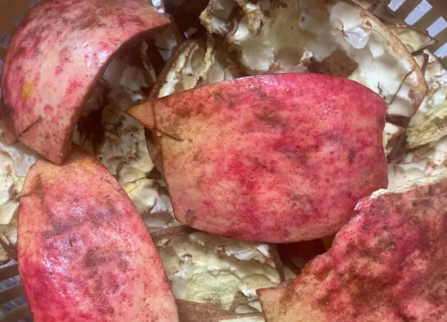 小众送妈妈的花有哪些花