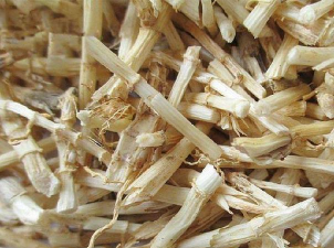 白给都不要的“杂草”根却比猪肉还贵