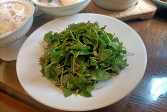 小众送妈妈的花有哪些花