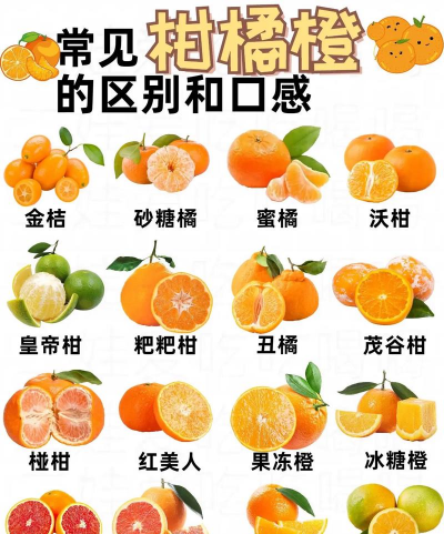 柑橘新品种有哪些