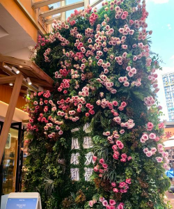 小众送妈妈的花有哪些花