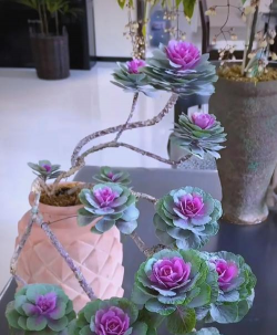 小众送妈妈的花有哪些花