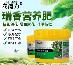 小众送妈妈的花有哪些花