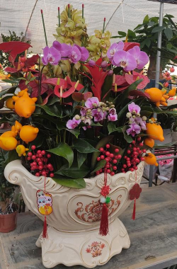 小众送妈妈的花有哪些花