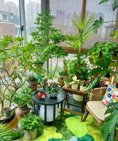 小众送妈妈的花有哪些花