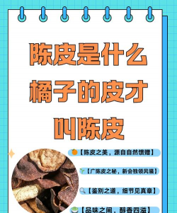 陈皮是桔子皮吗