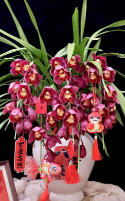 小众送妈妈的花有哪些花