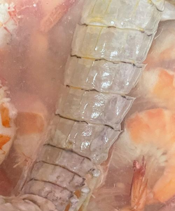 死虾发白是什么原因