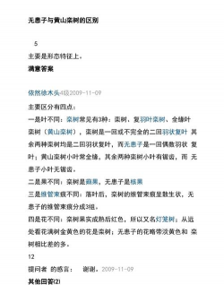 无患子和栾树区别