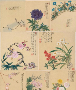 小众送妈妈的花有哪些花