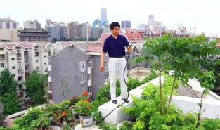 小众送妈妈的花有哪些花