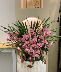 小众送妈妈的花有哪些花