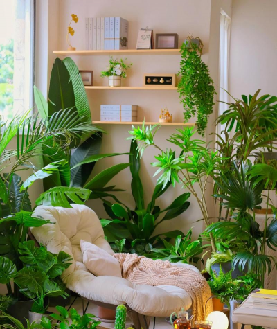 小众送妈妈的花有哪些花