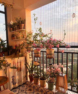 小众送妈妈的花有哪些花