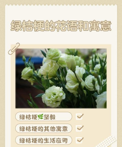 小众送妈妈的花有哪些花