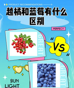 越橘和蓝莓的区别