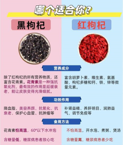 黑枸杞与枸杞的区别