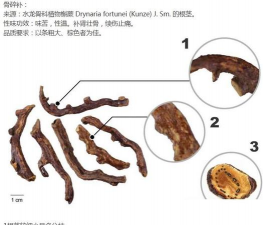 骨碎补和补骨脂的区别