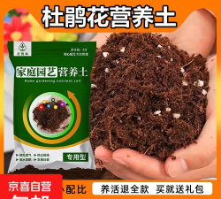 小众送妈妈的花有哪些花