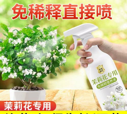 小众送妈妈的花有哪些花