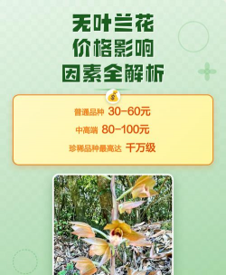 小众送妈妈的花有哪些花