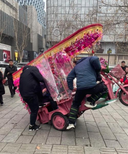 小众送妈妈的花有哪些花