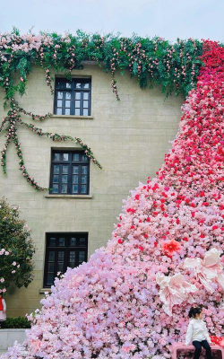 小众送妈妈的花有哪些花