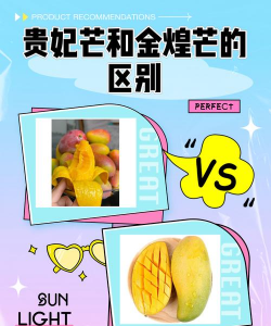 金煌芒和贵妃芒的区别