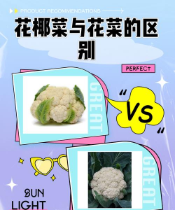 如何辨别花椰菜