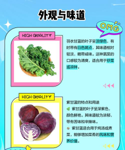 羽衣甘蓝和紫甘蓝的区别