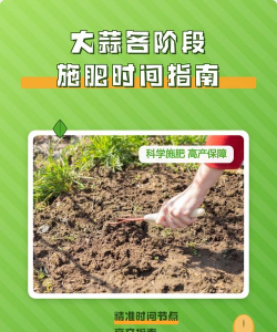 大蒜什么时候浇水