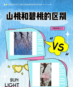 山桃和碧桃的区别