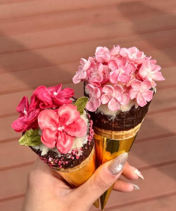 小众送妈妈的花有哪些花