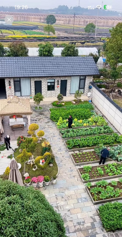 小众送妈妈的花有哪些花