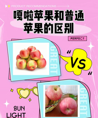 嘎拉苹果和苹果的区别