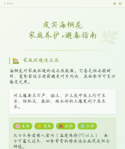 小众送妈妈的花有哪些花