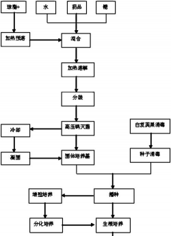 白芨的养殖方法