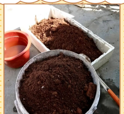 小众送妈妈的花有哪些花