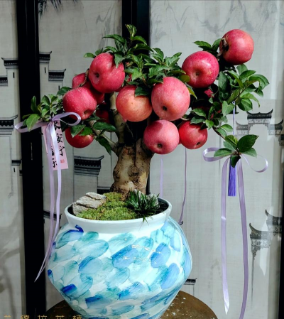 小众送妈妈的花有哪些花