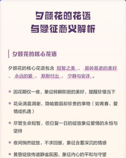 小众送妈妈的花有哪些花