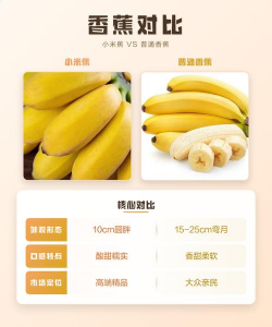 皇帝蕉和小米蕉的区别