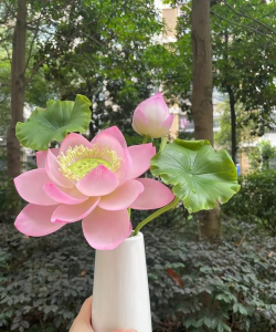 小众送妈妈的花有哪些花